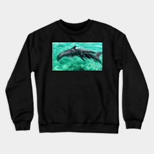 Dolphins playing Crewneck Sweatshirt